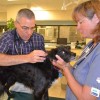 Tick Season conjures concern