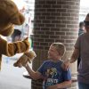 Local teddy bears are feeling much better now